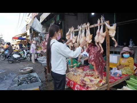 Morning Daily LifeStyle of Vendors @Preak Phnov Market - Walk Around Street Food Market