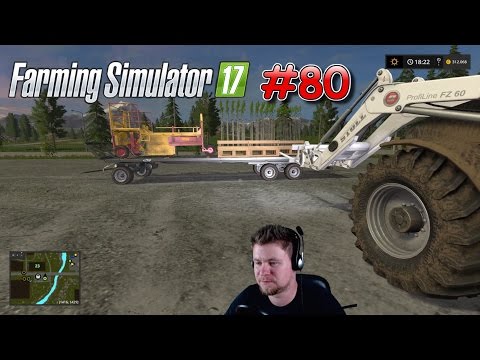 LS 17 [E80] Aufforsten im Akkord