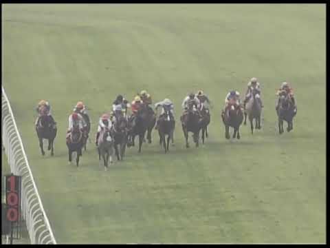 2019-03-03 Race 3(0171) - GRAND LISBOA CUP (Div 2)