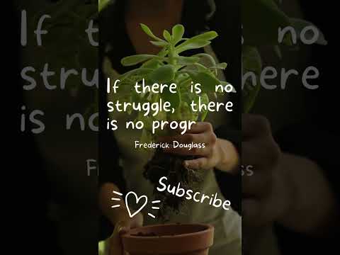 Inspiration quotes for daily motivation in life #shorts