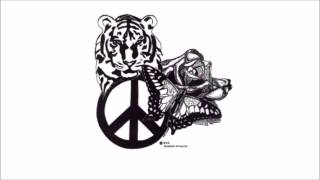 Rowwen Hèze - de Zwarte Plak + Tekst