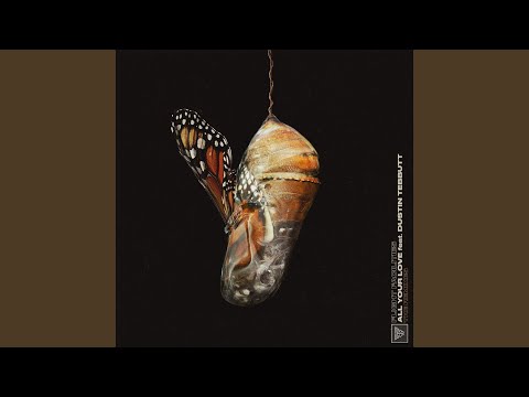 Video thumbnail for To Begin (Akira Kosemura Rework)