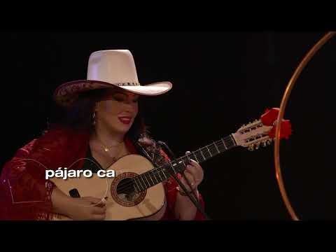 Festival Viola da Terra | Juliana Andrade