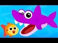 Baby Shark Song Kids Songs And Nursery Rhymes Sing And Dance Animal Songs For Children