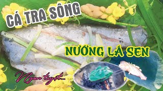Cá Tra Sông - Nướng Lá Sen Thơm Ngon Tuyệt Vời | Xuân Dương Vlogs