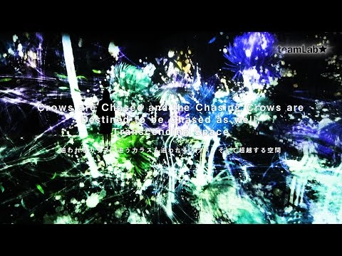 Crows are Chased and the Chasing Crows are Destined to be Chased as well, Transcending Space