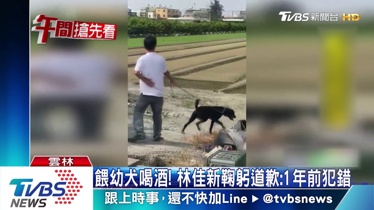 餵幼犬喝酒! 林佳新鞠躬道歉:1年前犯錯