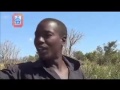 MUVI TV LIVINGSTONE