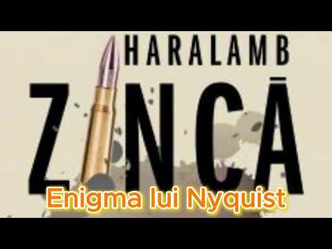 Enigma lui Nyquist de Haralamb Zinca