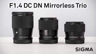 Sigma 16mm f/1.4 DC DN Contemporary Lens (Nikon Z) 402973 B&H Sigma 16mm f/1.4 DC DN Contemporary Lens (Nikon Z) 402973 B&H