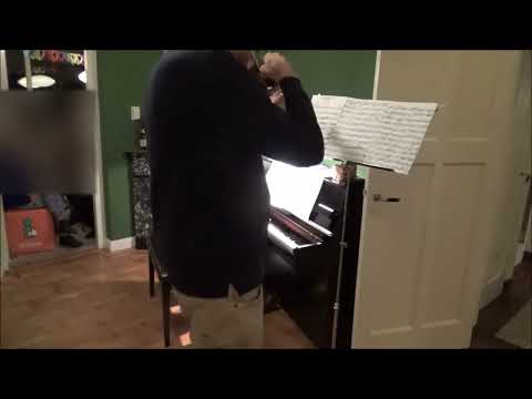 Portnoff, Leo op.44 Concertino for violin + piano movement 1 +2