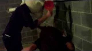 Ping Pong: Lion vs. Lamb