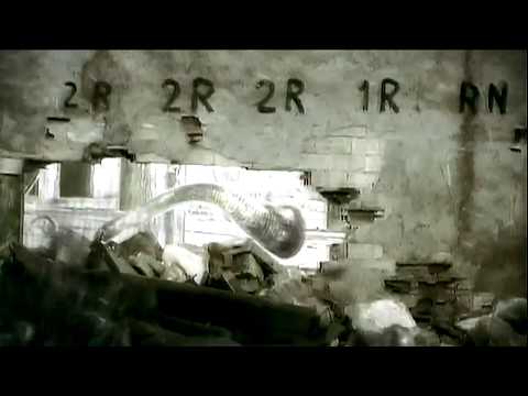 Paul Birken - Swellbow