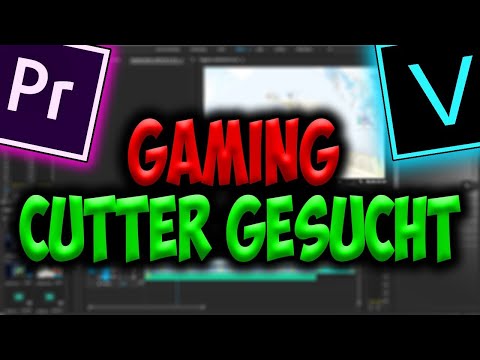 BEWERBUNGSPHASE BEENDET! | Craftable Dani