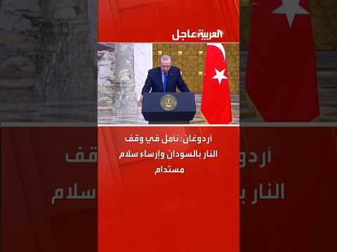 توافق مصري تركي على هدنة بالسودان.. وحماية أرض الصومال 
