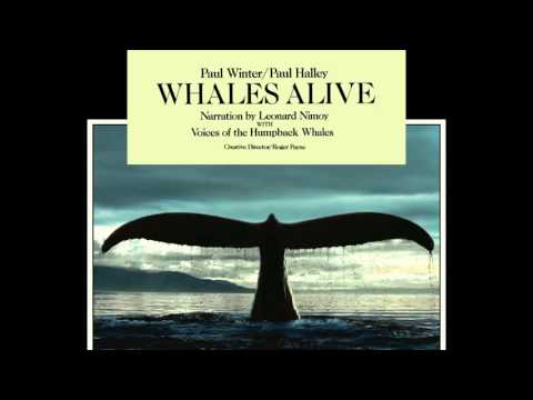 Paul Winter & Paul Halley - Concerto For Whale And Organ