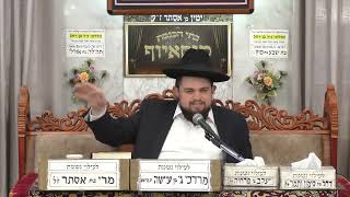 הרב דוד חביב כהן | פרשת חיי שרה | בית הכנסת מוסאיוף (בית הכנסת מוסאיוף) - התמונה מוצגת ישירות מתוך אתר האינטרנט יוטיוב. זכויות היוצרים בתמונה שייכות ליוצרה. קישור קרדיט למקור התוכן נמצא בתוך דף הסרטון הרב דוד חביב כהן | פרשת חיי שרה | בית הכנסת מוסאיוף (בית הכנסת מוסאיוף) - התמונה מוצגת ישירות מתוך אתר האינטרנט יוטיוב. זכויות היוצרים בתמונה שייכות ליוצרה. קישור קרדיט למקור התוכן נמצא בתוך דף הסרטון