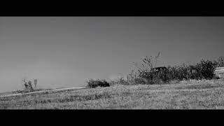 Cage the Elephant - Skin and Bones