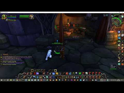 How to increase Undercity reputation in WoW Classic
