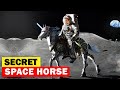The Military's Secret Space Horse Division