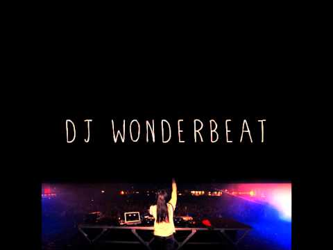 DJ WONDERBEAT Partysquad vs Afrojack Amsterdan Remix