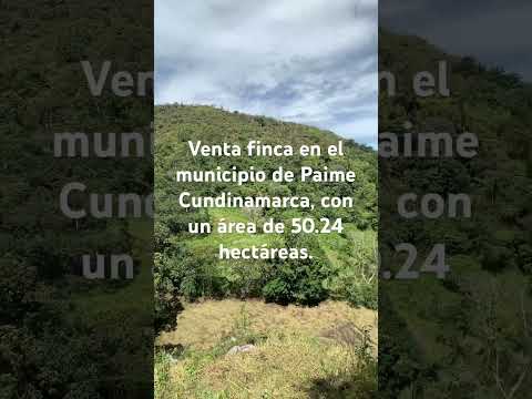 Venta finca Paime Cundinamarca. Área 50.24 hectáreas.