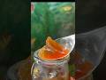 DIY FISH SCALE COLLAGEN Collagen Beauty Fishscale