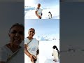 കറുപ്പും വെളുപ്പമുള്ള താറാവ് In Antarctica Ai