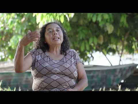 TESOUROS DO TOCANTINS, PARQUE AQUICOLA DE SUCUPIRA