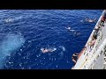 Shark crashes Coast Guard crew’s swim call in Oceania