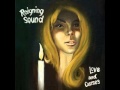 Reigning Sound "Dangerous Game"