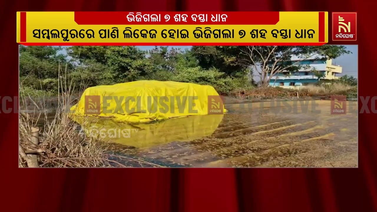 ଫାଟିଲା ପିଏଚଡି ପାଇପ; ପାଣିରେ ଭିଜି ନଷ୍ଟ ହୋଇଗଲା ଚାଷୀଙ୍କ