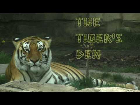 January 27th Trade What You See with Larry Pesavento on TFNN - 2017