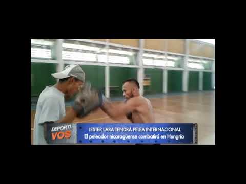 Caballo Lara combatirá en Hungría