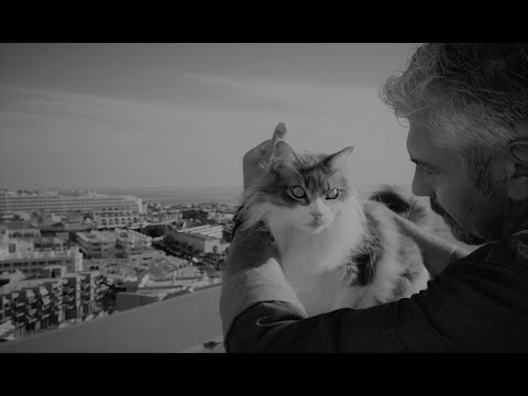 video frame placeholder