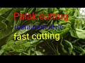 Palak Cutting