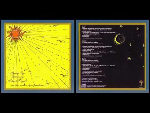 Henry Cow Feat. Robert Wyatt - We Did It Again (K.Ayers) – Live in Paris – 1975