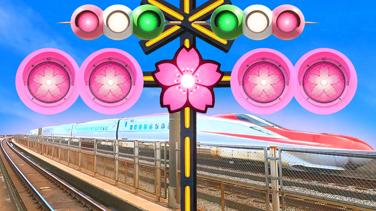 【電車】踏切動画【ふみきり 鉄道】train railway railroad crossing 桜踏切 秋田新幹線 E6系 こまち