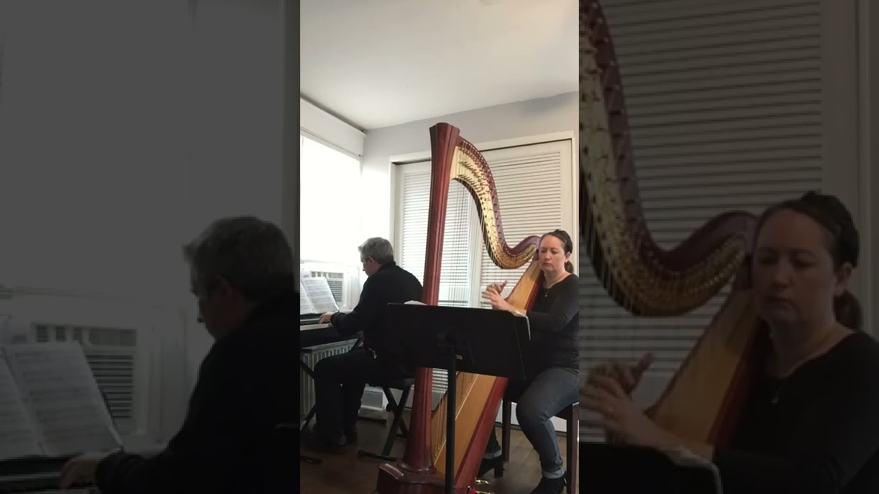 Promotional video thumbnail 7 for City Winds Flute and Harp  Duo