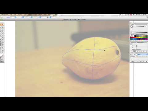 REAL TIPS with MESH TOOL illustrator