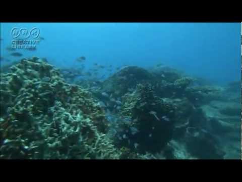 マ－ラ－　交響曲第3番第6楽章（編曲）　Mahler-Symphony-No.3 6mov."arrange"