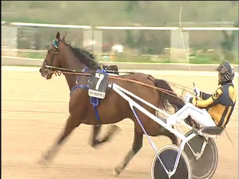 Trotto 30/03/2018 - 5ª corsa