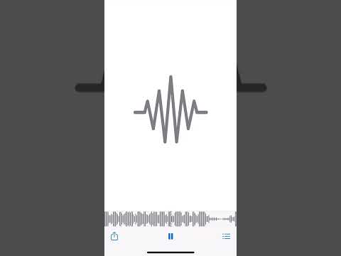 danielriche x rakeez - AMIRI (under)