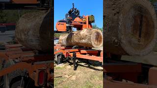 Milling poplar siding for the tiny house #diy #sawmill #satisfying
