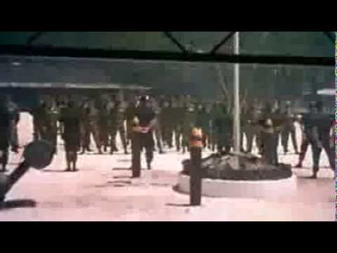 À Armes Egales - Bande Annonce  Vf