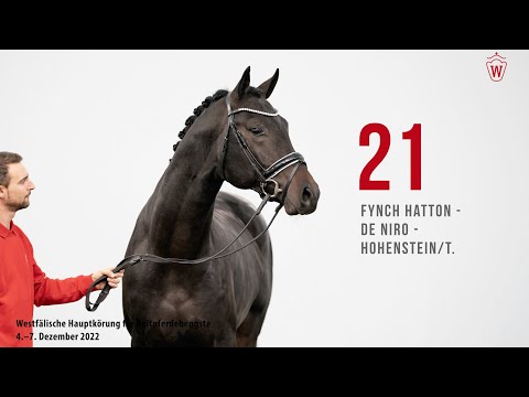 Westfälische Hauptkörung 2022 Reitpferde: Kat.Nr. 21 Fynch Hatton  -  De Niro  -  Hohenstein/T.