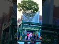 Chinese Cultural Splendor Live Show DownTownDisney LA 2022