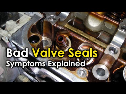 Bad Engine Valve Seals - Symptoms Explained | Signs of failing engine valve seals in your car