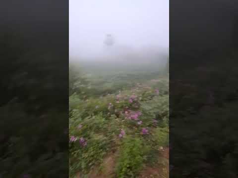 Muita névoa em Jaguaruana Ce na manhã deste Domingo 28 de Abril
