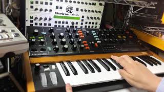 Behringer POLY D Multi Trigger Off
